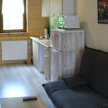 Проживание в семье Vila Horcek *